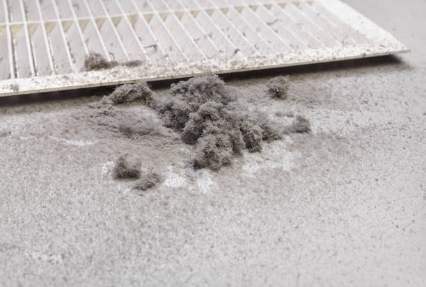 Best HVAC Duct Inspection Services  in Lake Wales, FL