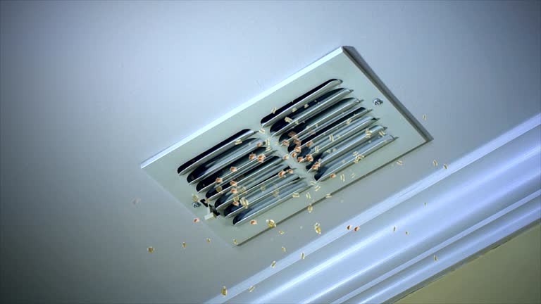 Best Air Duct Cleaning Near Me  in Lake Wales, FL