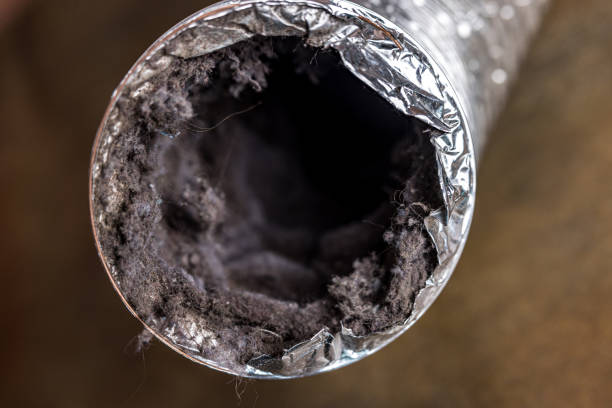 Best HVAC Duct Inspection Services  in Lake Wales, FL