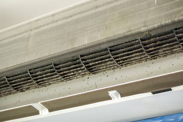 Professional Airduct Cleaning in Lake Wales, FL